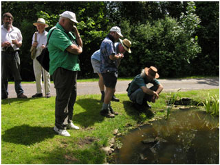 Examining the ornamental pond at Troserch Farm where several species of damselfly were noted. Photo: Richard Pryce